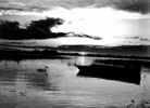 Black and White photograph of Lake O Flynn, Ballinlough, Co. Roscommon.